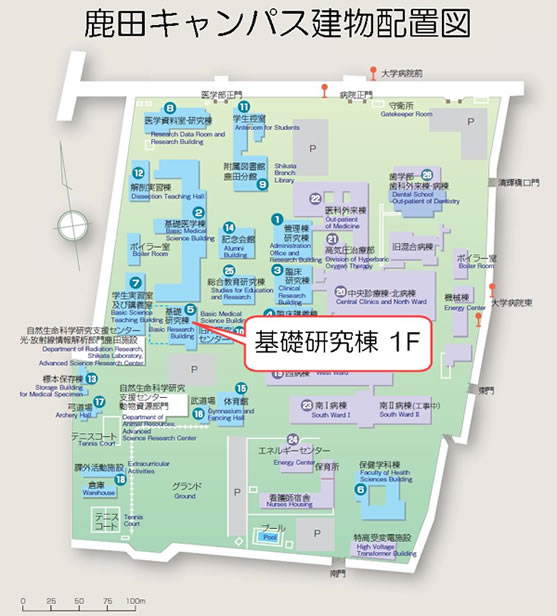 鹿田キャンパス建物配置図